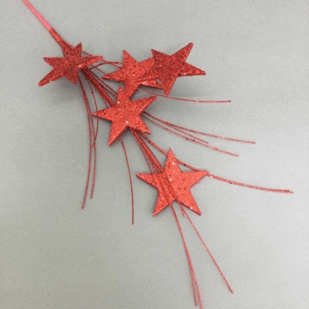 Christmas Red Star Spray 70cm - Salads Nibbles & More