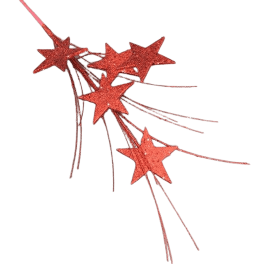 Christmas Red Star Spray 70cm - Salads Nibbles & More