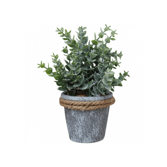 Gum Leaf Pot