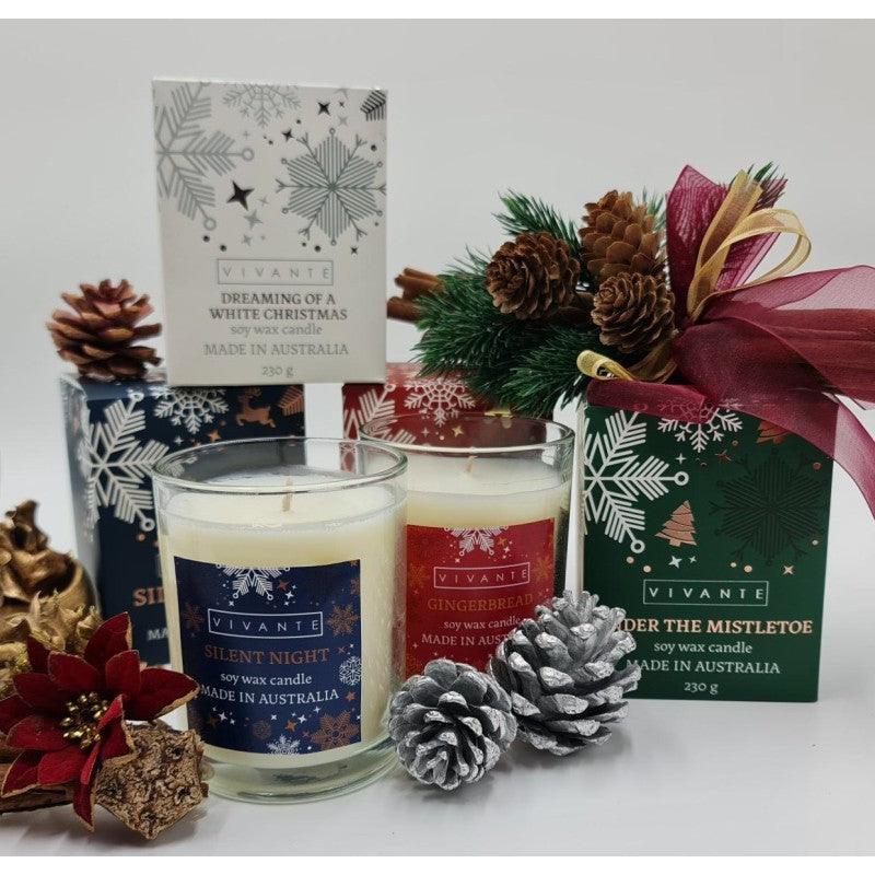 Under The Mistletoe - Vivante Christmas Soy Blend Candle 230g - Salads Nibbles & More